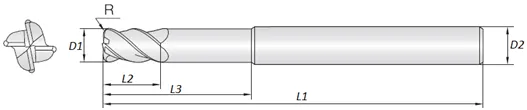 4MS
