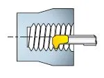 Z01