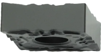 CNGG120412-GF P21C1