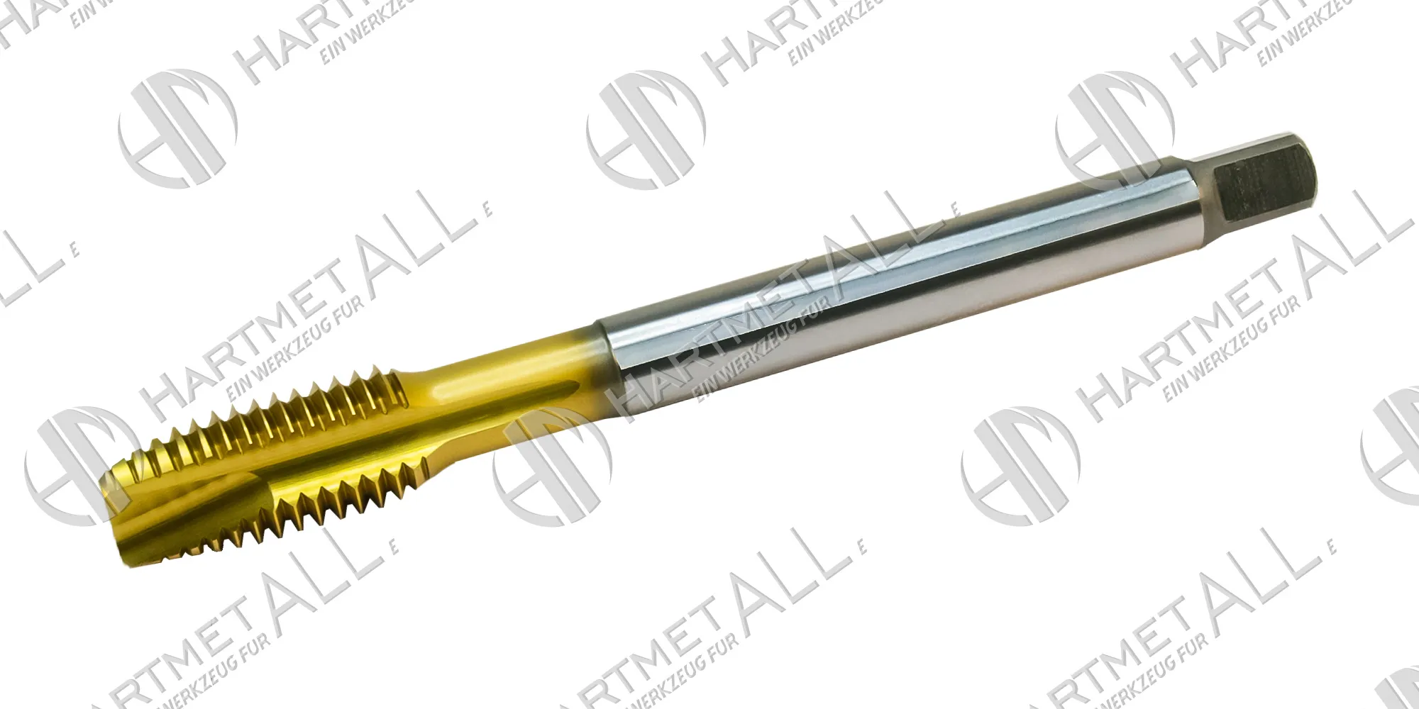 SD31G-M16-6G