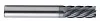 FG-S6E-100X250-C10