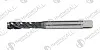 FGM31P-M12-6G