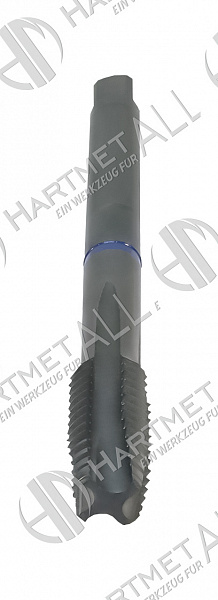 SD34M-M12-6H