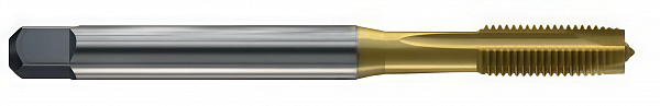 SD31G-M4-6H